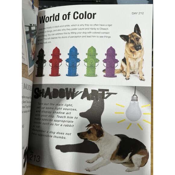 This Book Will Change Your Dogs Life: Stimulating Canine Challenges… - Picture 4 of 5